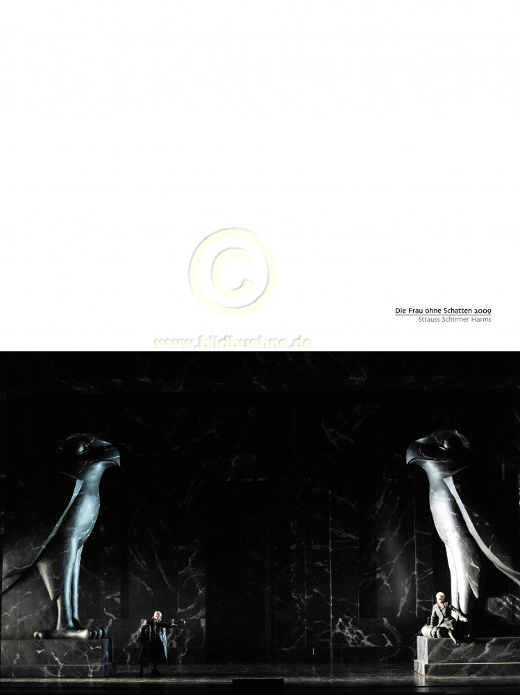 FrauOhneSchatten-1