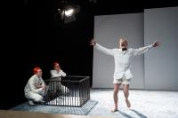 BE Faustus: 1550 San Remo Drive 31.01.25