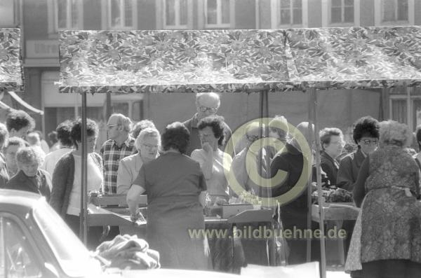 Mittweida05.jpg