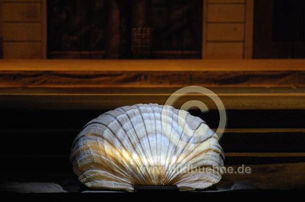 SoufflierMuschel4628