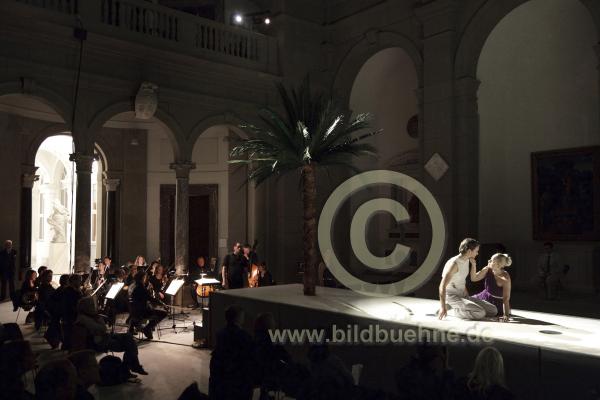 bodetitus002